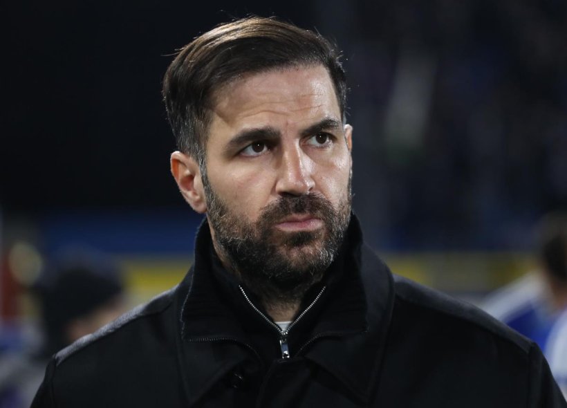 تشيلسي يُفكر في سيسك فابريجاس كمدرب محتمل في ظل عدم الاستقرار